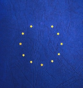 Associated Risks of EU Disintegration: Crises and Scenarios 