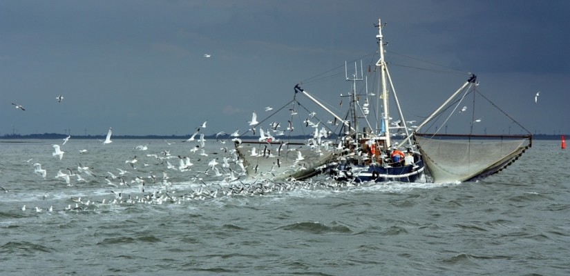 Overfishing and Eumatric fishing