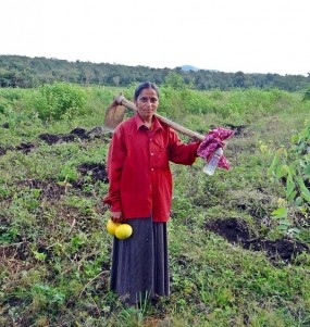 The Impact of Climate Change on India's Agriculture, Food Security, and Agricultural Trade